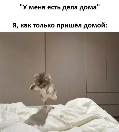 картинка 241ed24bfa 20832829