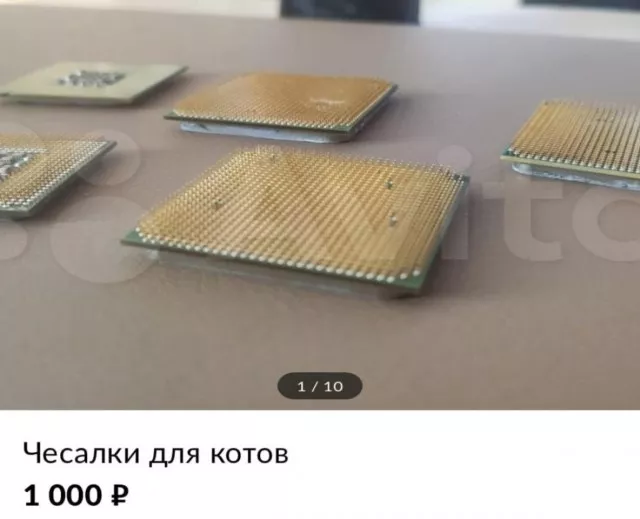 картинка 2446e7cd44 20773366