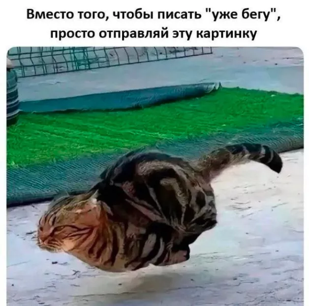 картинка 2538c63180 20773474