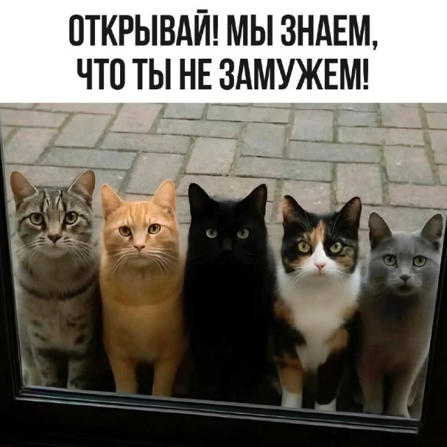 картинка 2645fa2a02 20832552