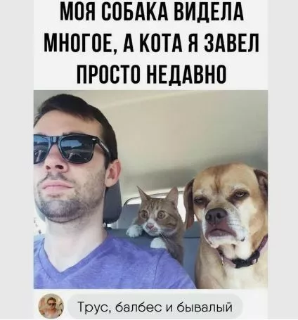 картинка 272fd75b31 luchshij jumor iz socialnyh setej 15