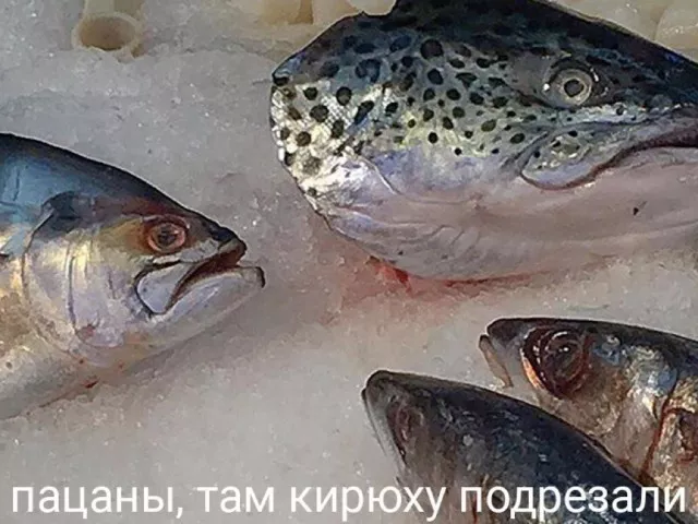 Готовьтесь к взрыву смеха! 💥 Новый сборник приколов на выходные уже здесь! собрали, самые, свежие, конечно, уморительные, чтобы, выходные, прошли, максимально, весело, пропустите, большой, сборник, позитива