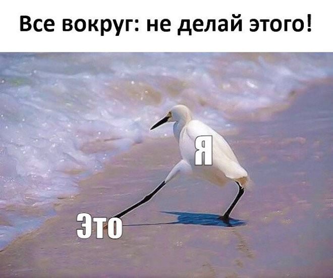 Готовьтесь смеяться до слез! 🤣 Новый сборник мемов и комментариев уже здесь! самые, комментарии, просто, собрали, настроения, которые, сетей, социальных, смешные, любой, сборник, поднятие, этого, просмотра, после, уверены, настроениеРазнообразие, Здесь, бытовых, найдется