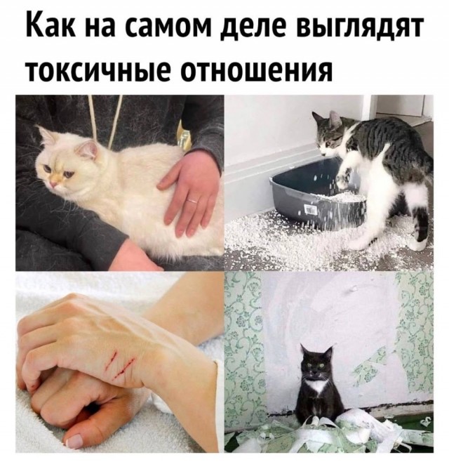 Маленькая пятница – время для смеха и отдыха! 🥳 Середина, приколов, выходные, улыбайтесь, Смотрите, делах, забыть, расслабиться, помогут, которые, свежих, недели, самых, сборник, новый, Представляем, исправить, знаем, утомительной, может