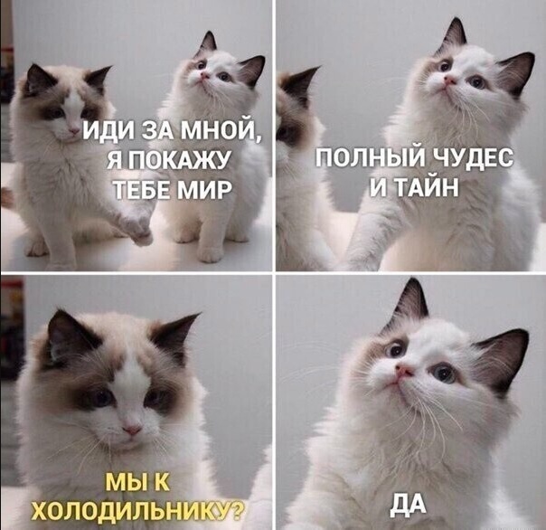 Маленькая пятница – время для смеха и отдыха! 🥳 Середина, приколов, выходные, улыбайтесь, Смотрите, делах, забыть, расслабиться, помогут, которые, свежих, недели, самых, сборник, новый, Представляем, исправить, знаем, утомительной, может