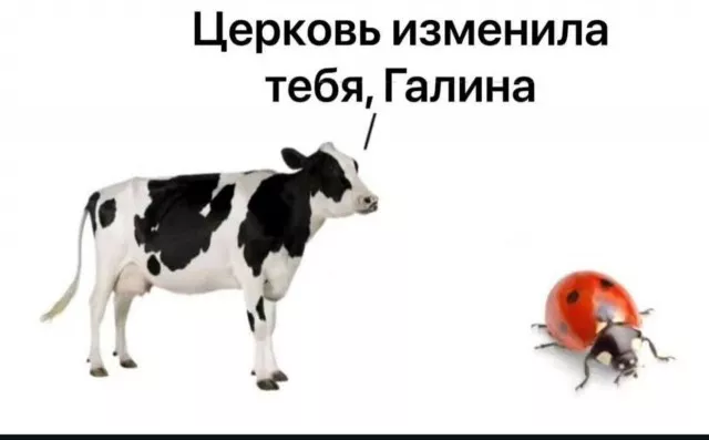 картинка 2f4e7bb8aa 20775167