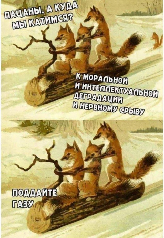 картинка 2fe329041c 20794920