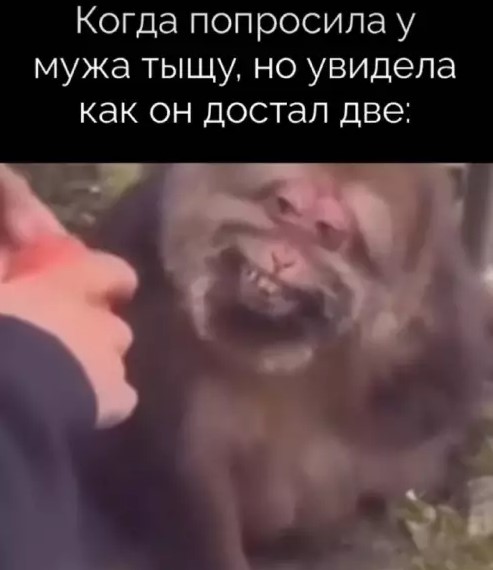 картинка 340bee90f0 20848413