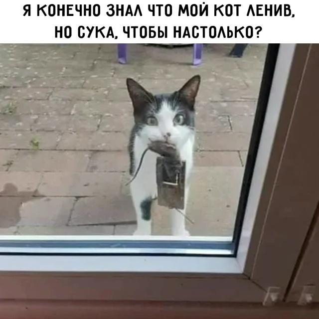 картинка 3514c908f5 hotite dobavit perchinki v svoj den vam sjuda 15