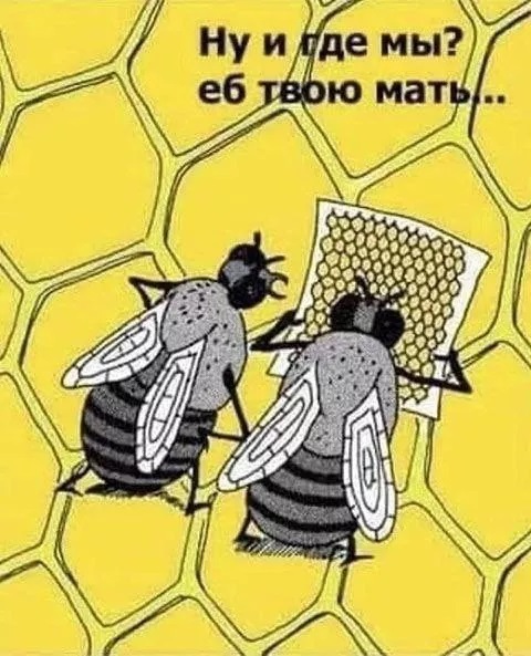 картинка 3b5be34250 20833006