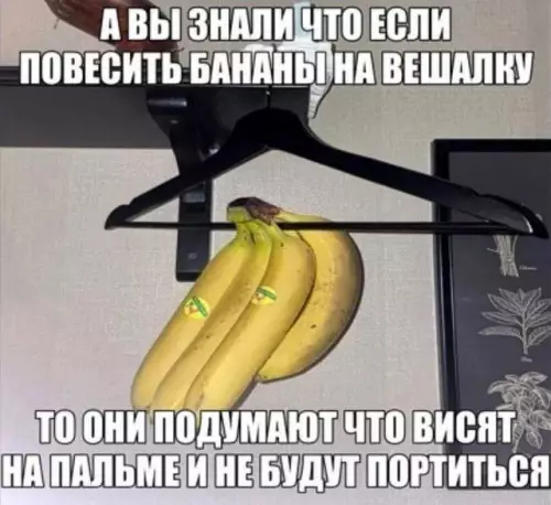 картинка 3c19228ad8 20832819