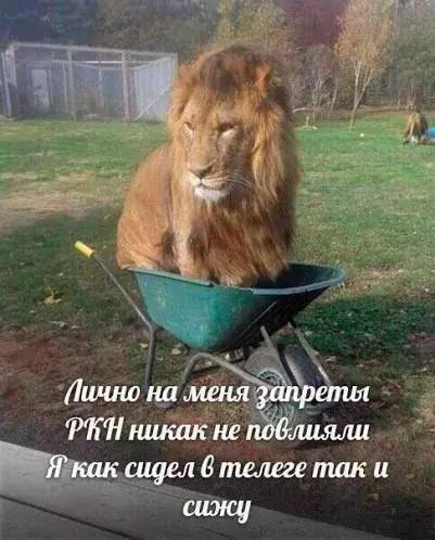 картинка 3cd50918e7 000000000000000000000