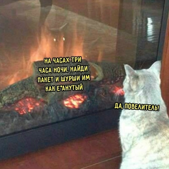 Маленькая пятница – время для смеха и отдыха! 🥳 Середина, приколов, выходные, улыбайтесь, Смотрите, делах, забыть, расслабиться, помогут, которые, свежих, недели, самых, сборник, новый, Представляем, исправить, знаем, утомительной, может