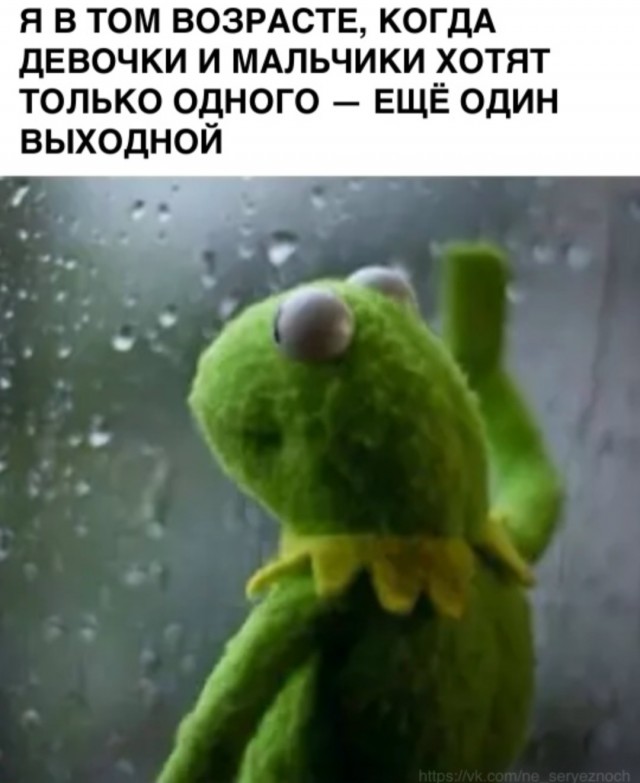 Утренний заряд позитива: свежая порция смешных мемов