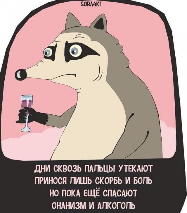 картинка 3fdd205c64 20837776