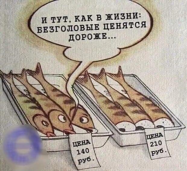 картинка 408a8180e1 20832951