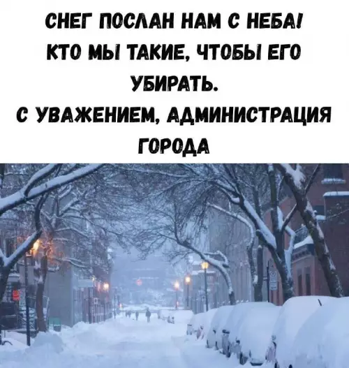 картинка 41dd23074b zabud o skuke 15