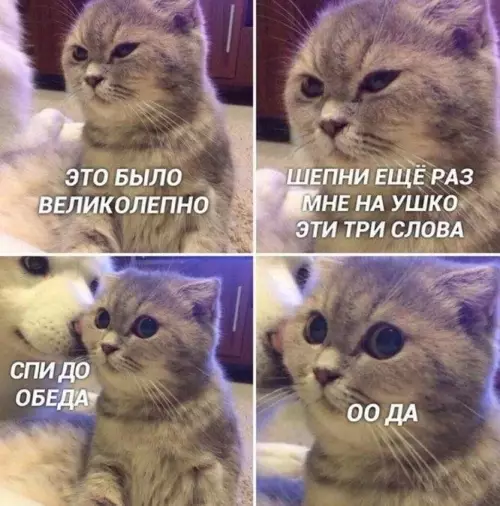 картинка 425698f435 20833080