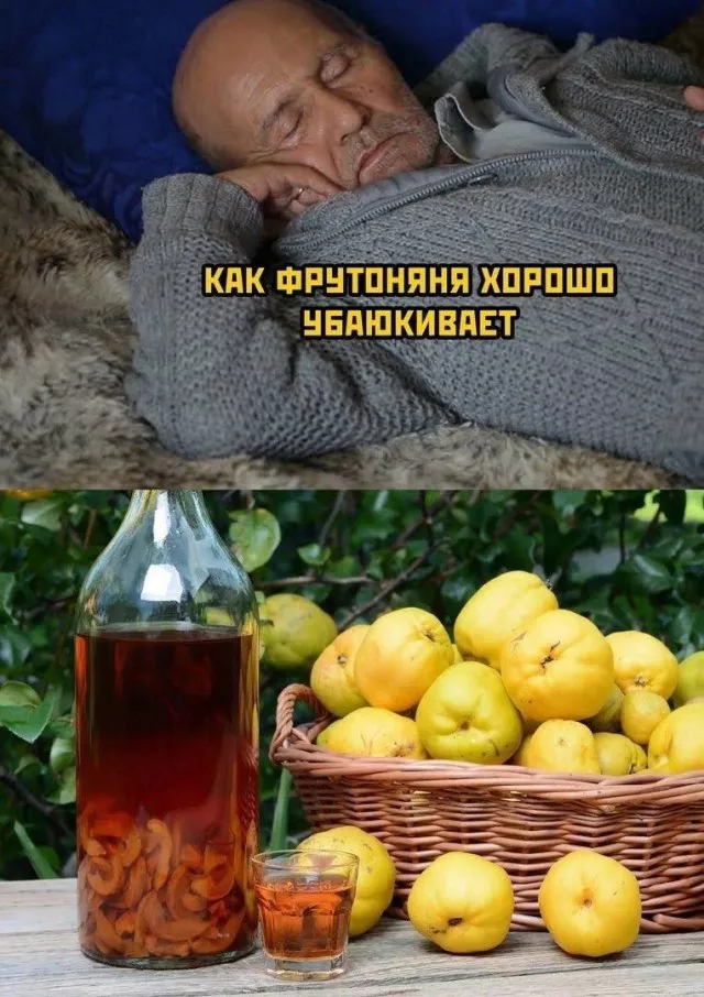 картинка 44d1d10011 20775322