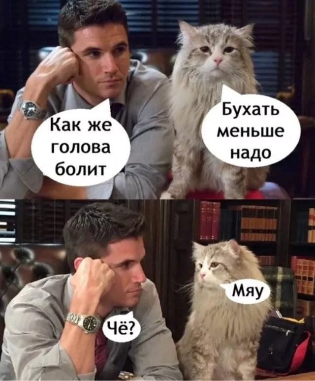 картинка 467717dd7c 20759929