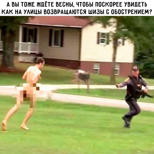 картинка 47a681be65 20814167