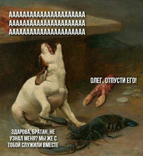 картинка 482dcab688 20814543