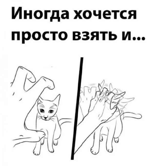 Готовьтесь к взрыву смеха! 💥 Новый сборник приколов на выходные уже здесь! собрали, самые, свежие, конечно, уморительные, чтобы, выходные, прошли, максимально, весело, пропустите, большой, сборник, позитива