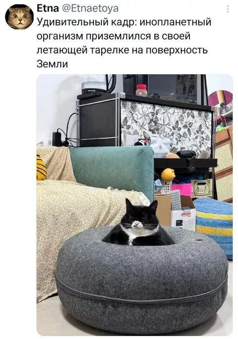 картинка 4a12b3245e zagljanite k nam za porciej horoshego nastroenija 00