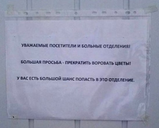 картинка 4a2805d31c 20848990