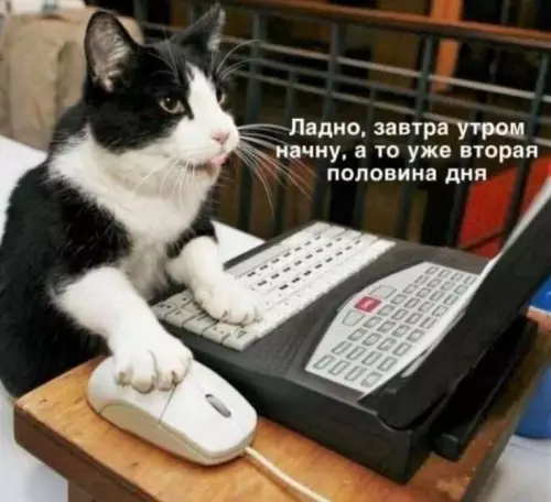 картинка 4b383d07a0 20791342