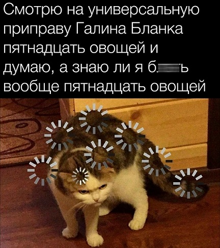 Утренний заряд позитива: свежая порция смешных мемов