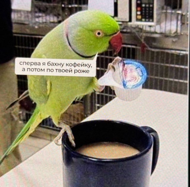 картинка 52a3f76f97 20814545