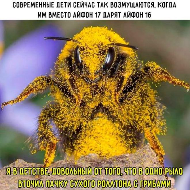Готовьтесь смеяться до слез! 🤣 Новый сборник мемов и комментариев уже здесь! самые, комментарии, просто, собрали, настроения, которые, сетей, социальных, смешные, любой, сборник, поднятие, этого, просмотра, после, уверены, настроениеРазнообразие, Здесь, бытовых, найдется