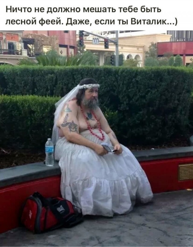 картинка 549f99f3c8 20792186