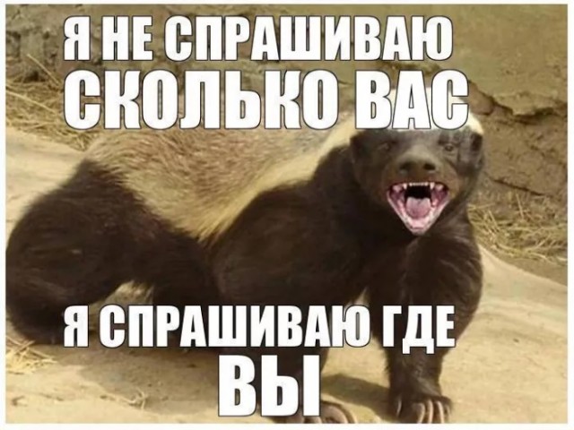 картинка 55ef48e4b0 20833014