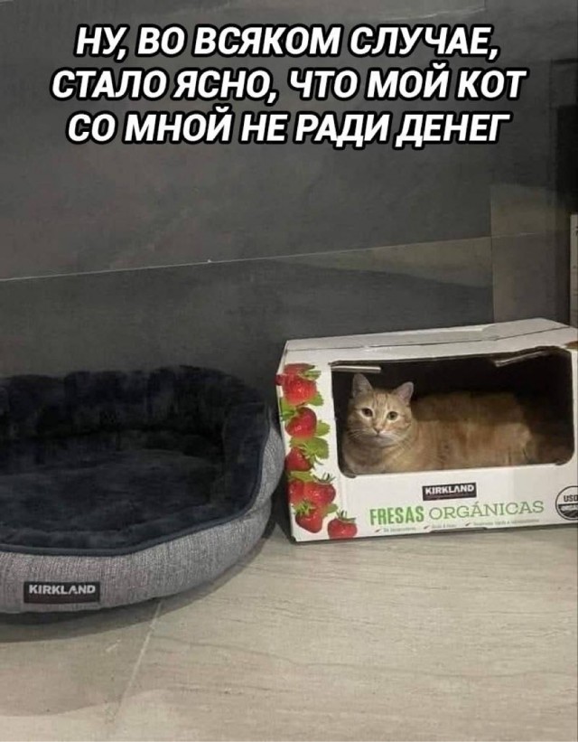 картинка 56603b218e 20850564