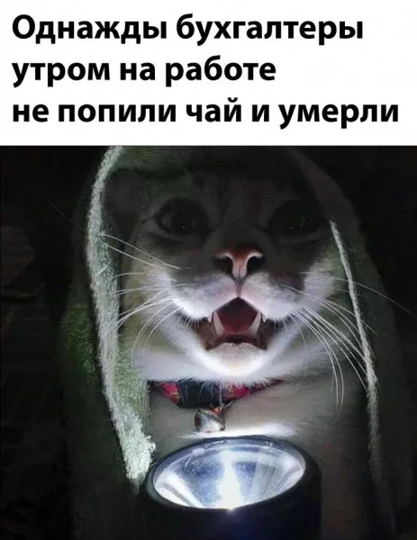 картинка 56ba61ce00 chernyj jumor v memah dlja teh kto ne boitsja smejatsja nad tem nad chem ne polozheno 11