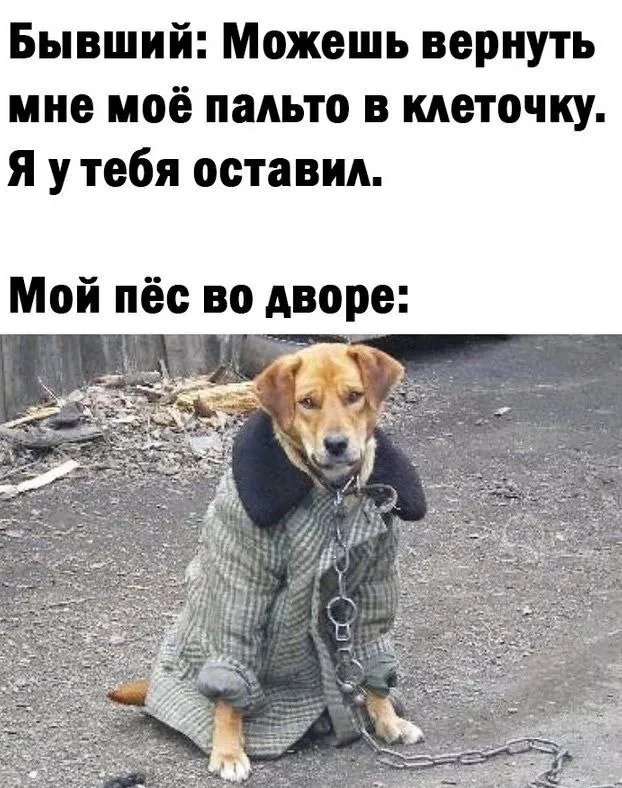 Готовьтесь к взрыву смеха! 💥 Новый сборник приколов на выходные уже здесь! собрали, самые, свежие, конечно, уморительные, чтобы, выходные, прошли, максимально, весело, пропустите, большой, сборник, позитива