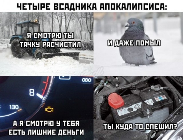 Маленькая пятница: зарядка позитивом в середине недели