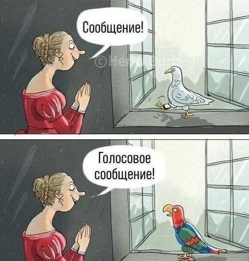 Утренний заряд позитива: свежая порция смешных мемов