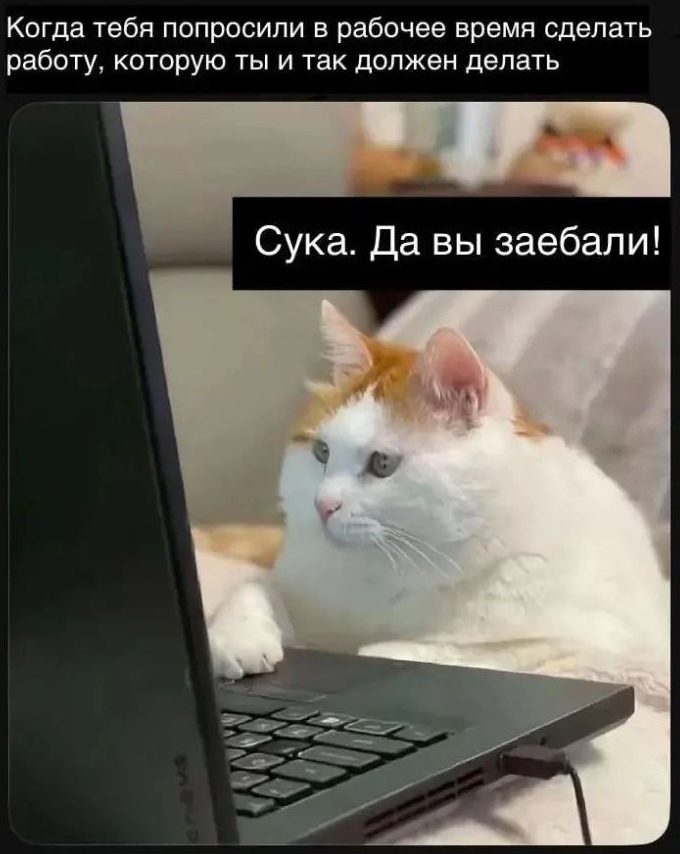 Готовьтесь смеяться до слез! 🤣 Новый сборник мемов и комментариев уже здесь! самые, комментарии, просто, собрали, настроения, которые, сетей, социальных, смешные, любой, сборник, поднятие, этого, просмотра, после, уверены, настроениеРазнообразие, Здесь, бытовых, найдется