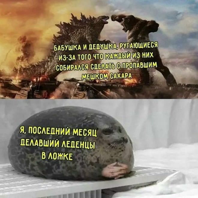 картинка 5bb0d3ddf2 lovite pozitivchik podborka svezhih shutok i memov dlja vashej malenkoj pjatnicy 4