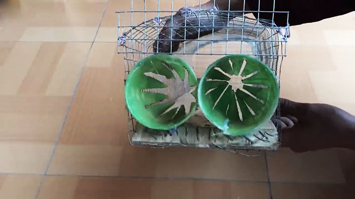 картинка 5c9c97dbce prostaja lovushka dlja melkih gryzunov 6