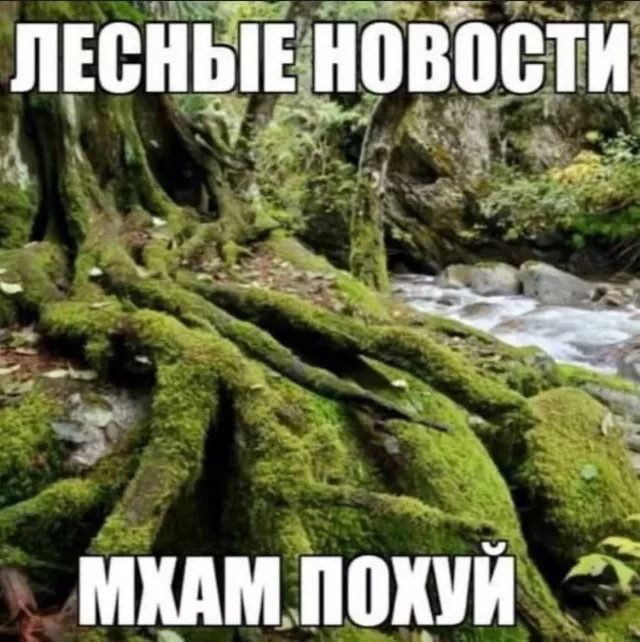 картинка 5f464e5225 20777455