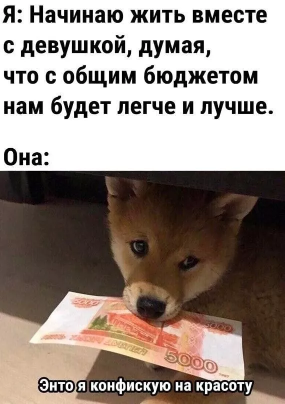 Пятница! Наконец-то! пятница, позитиве, друзья, сделать, тщательно, отбирали, каждый, чтобы, прошла, максимальном, Забудьте, дедлайнах, совещаниях, нужно, Сегодня, вчера, взорвать, смеха, Листайте, делитесь