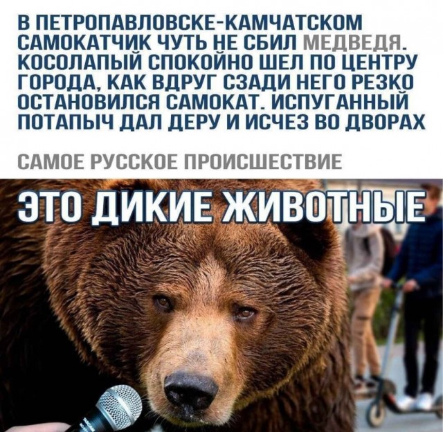 картинка 60a0602034 vstrechajte vasha porcija pozitiva uzhe zdes 9