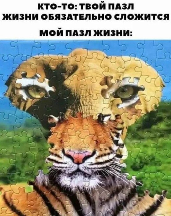 картинка 60a1811a31 20848988