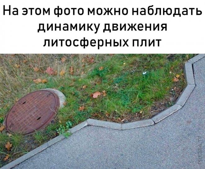 картинка 60e7a0c410 malenkaja pjatnica jeto ne mif a realnost i ona uzhe v jetu sredu 15