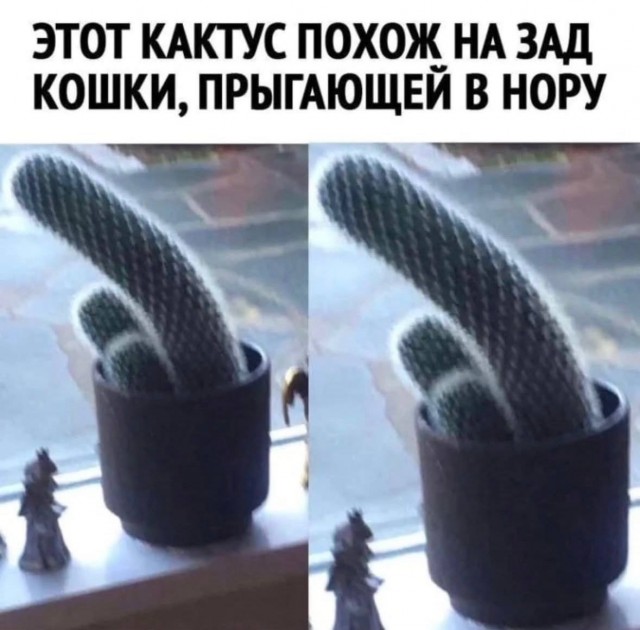 Маленькая пятница: зарядка позитивом в середине недели