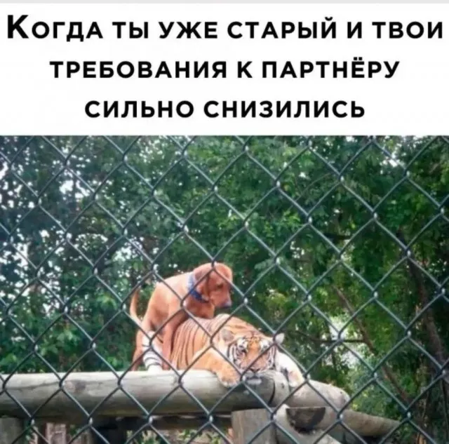 Пятница! Наконец-то! пятница, позитиве, друзья, сделать, тщательно, отбирали, каждый, чтобы, прошла, максимальном, Забудьте, дедлайнах, совещаниях, нужно, Сегодня, вчера, взорвать, смеха, Листайте, делитесь